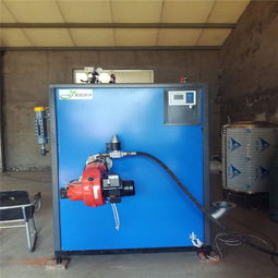 全自動立式燃氣鍋爐生物質蒸汽發生器 羊肚菌滅菌的高效節能解決方案